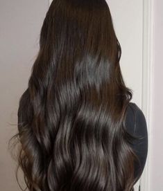 2024 Vision Board Healthy Hair, Healthy Hair Aesthetic Brown, Beautiful Hair Aesthetic, Izabella Core, Healthy Brown Hair, Healthy Hair Aesthetic, Hair Inspiration Long, Long Healthy Hair