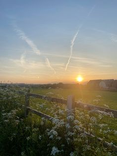 the sun is setting over a field with wildflowers in bloom and a wooden fence