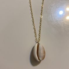 Natural Locally Found Shell Palm Beach, Florida 16” Brand New Custom Made 14k Gold Filled Hardware (Tarnish Resistant) Palm Beach Florida, Shell Necklace, Shell Necklaces, Beach Florida, Palm Beach, Womens Jewelry Necklace, Gold Filled, Size 16, Custom Made