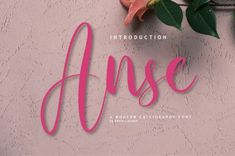 Anse Script Font Commercial font #commercialfont fonts #fonts font #font 4.1416 Free Script Fonts, Font Download, Handwritten Font