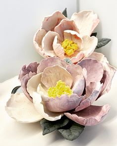 two pink and white flowers sitting on top of a table