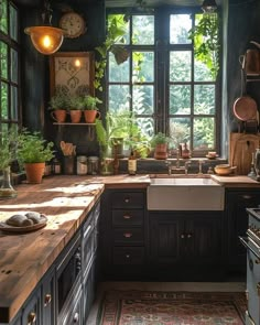 a kitchen filled with lots of plants next to a sink and stove top under a window