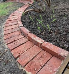 a red brick path in the middle of a garden with a tree growing out of it