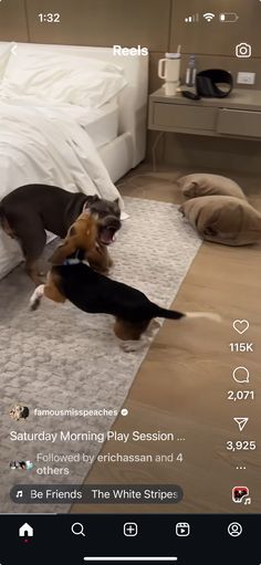 two dogs are playing with each other on the floor in front of a white bed