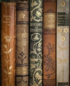 old books are lined up on a shelf