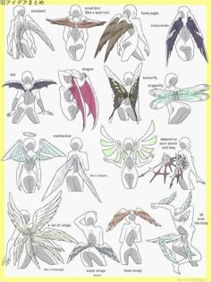 an image of different types of wings and body parts in anime style, with text below it