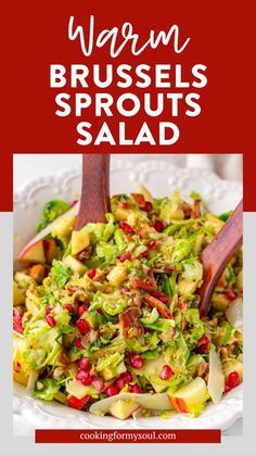 brussels sprouts salad with pomegranates and apples in a white bowl