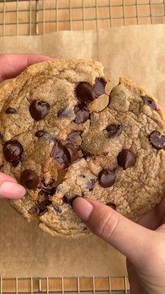 a person holding a chocolate chip cookie in their hand