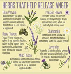 Blood Purifying Herbs, Herbs For Anger, Herbs For Asthma, Herbalism For Beginners, Release Anger