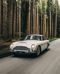 a white car driving down a road next to tall trees