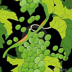 green grapes with leaves on a black background stock photo, a picture of a green grapes with