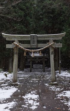 Tori Gate, Japanese Shrine, Graphic Poster Art, Japan Culture, Japan Aesthetic, Aesthetic Japan, Japanese Aesthetic, Academia Aesthetic, Ancient China