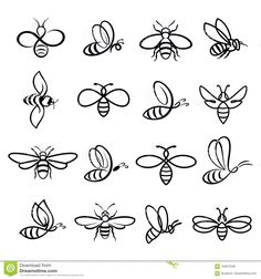 bees and honeybees are drawn in black ink on a white background stock photo