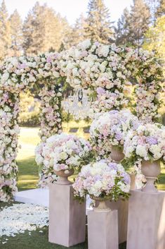 a bunch of vases with flowers in them sitting on the grass near an archway