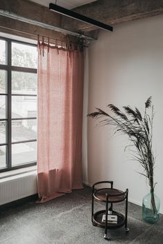 a living room with a window and a plant in the corner next to a table