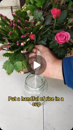 a person holding flowers in a vase with the words put a handful of rice in a cup