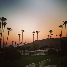 palm trees are silhouetted against the sunset in front of an apartment complex with several balconies