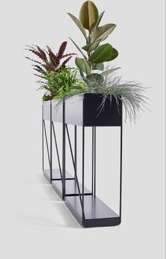 two planters with plants in them sitting on top of each other, one is black and the other is white