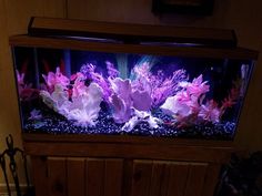 an aquarium filled with purple and white flowers on top of a wooden cabinet next to a wall