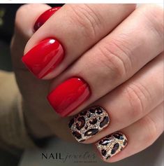 Feather Nails, Summer Nail Ideas, Bright Summer Nails, Short Square Nails, Animal Nails, Fabulous Nails, Classy Nails