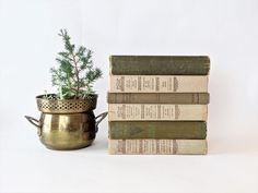 three books stacked on top of each other next to a small potted pine tree