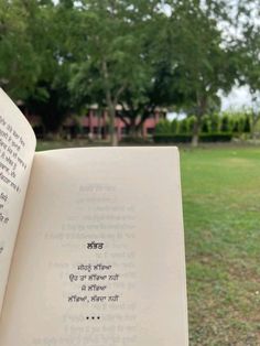 an open book sitting on top of a grass covered field next to a park filled with trees