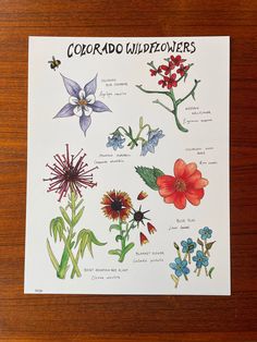 a poster with flowers on it that says coordo wildflowers in spanish