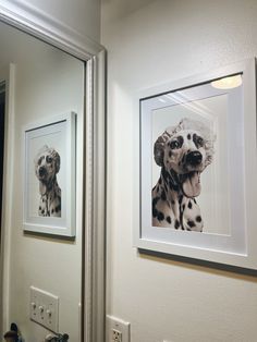 Bathroom Photo Ideas Wall Art, Bathroom Photo Decor, Dog Bathroom Photoshoot, Dog Bath Photoshoot, Bathroom Dog Pictures, Photos For Bathroom Wall, Dog Bathroom Pictures Diy, Pet Bathroom Photos