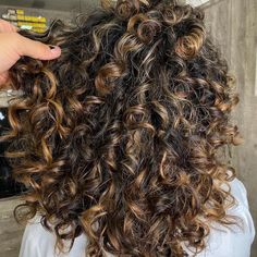 Curly Balayage Hair, Curly Hair Trends, Dark Curly Hair, Highlights Curly Hair, Brown Curly Hair, Colored Curly Hair