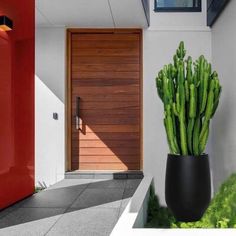 a large cactus in a black vase next to a red door and white wall with windows