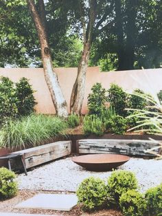 an outdoor garden with wooden benches and plants