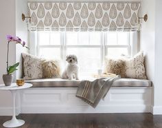 a white dog sitting on top of a window sill next to pillows and blankets