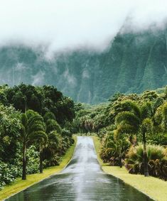 an empty road surrounded by trees and mountains in the distance with rain coming down on it