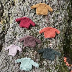 four knitted sweaters are hanging on the bark of a tree, all in different colors