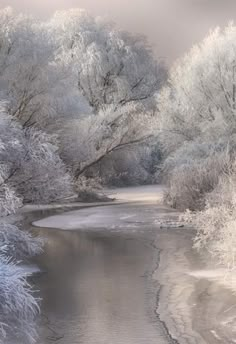 a river surrounded by snow covered trees and bushes on either side with water running through it