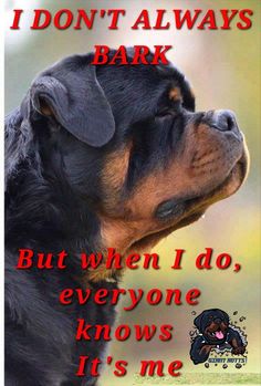 a black and brown dog is looking up at the sky with its head tilted down