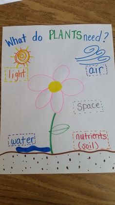 Plant needs anchor chart Prek Planting Activities, Plant Growing Chart, Plant Prek Activities, All About Plants Preschool Activities, Plants And Flowers Crafts Preschool, Gardening Ideas For Preschool, Plant Study Preschool, Spring Social Studies Activities Preschool