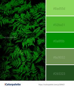 the color palette is green and has many different plants