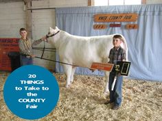 two young boys standing next to a white horse in an indoor arena, with the words 20 things to take to the county fair