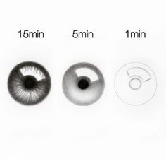 three different types of eyeballs are shown