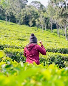 a woman standing in the middle of a tea plantation with her hand up to her face