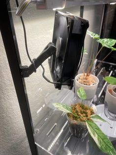 some plants are sitting in small pots on a shelf next to an electronic device that is plugged into the wall