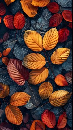 an image of colorful leaves on the ground