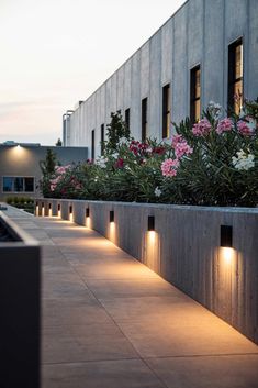 some lights that are on the side of a building near plants and flowers in pots