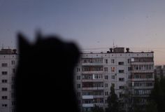 the silhouette of a cat is seen in front of an apartment building