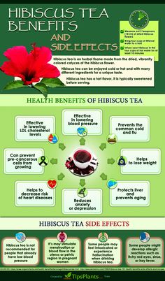 the health benefits of hibiscus tea infographical poster with information about it