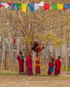 several monks are gathered around a tree with colorful flags hanging from it's branches