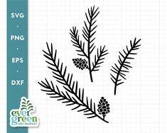 the evergreen branch svg file is shown in black and white, with pine cones on it