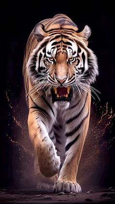 a tiger is running in the dark with it's mouth open and eyes wide open