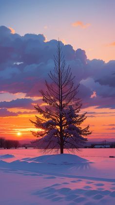 a lone tree stands in the snow at sunset